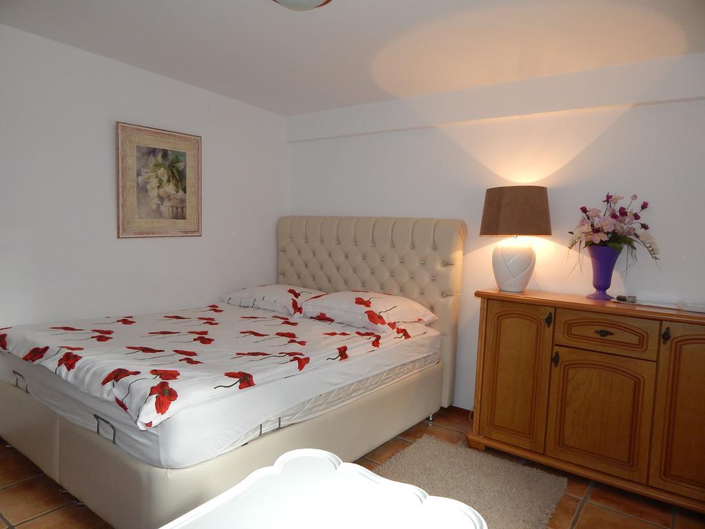 Willa Solina Hotell Solina  Rom bilde